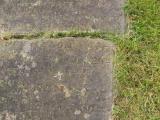 image of grave number 30397